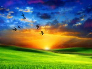 Encuentro Universal de Meditación, Yoga y Conciencia en acción 2