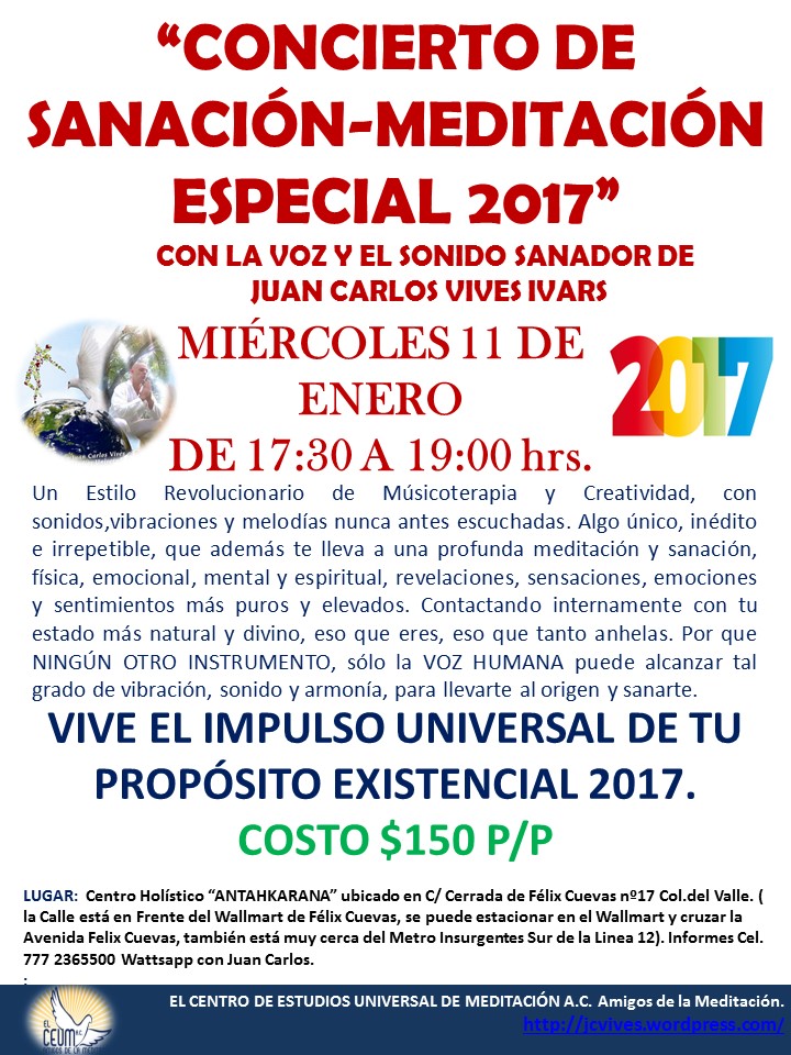 poster concierto de sanacin 11 de enero