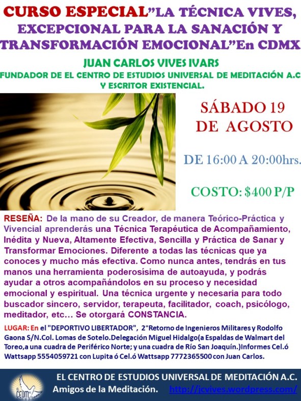 Curso TECNICA VIVES 19 DE AGOSTO SOTELO
