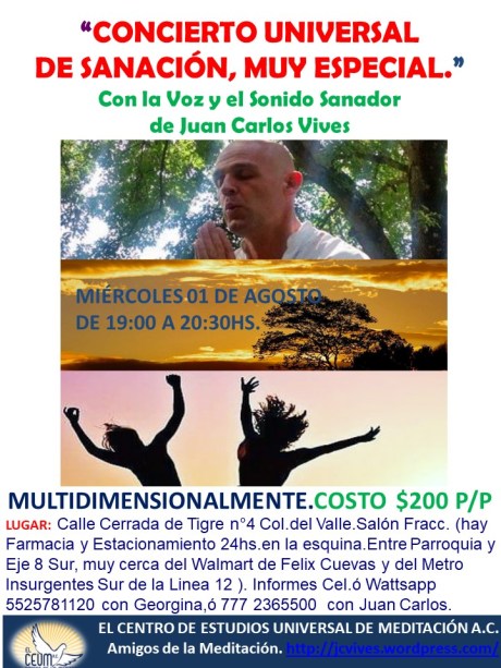 Poster Concierto de Sanación 01 de Agosto. Tigre 4.