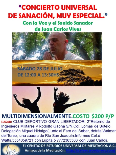 Poster Concierto de Sanación 28 de julio. Lomas de Sotelo.