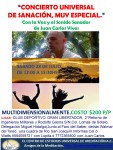 Poster Concierto de Sanación 28 de julio. Lomas de&nbsp;Sotelo.