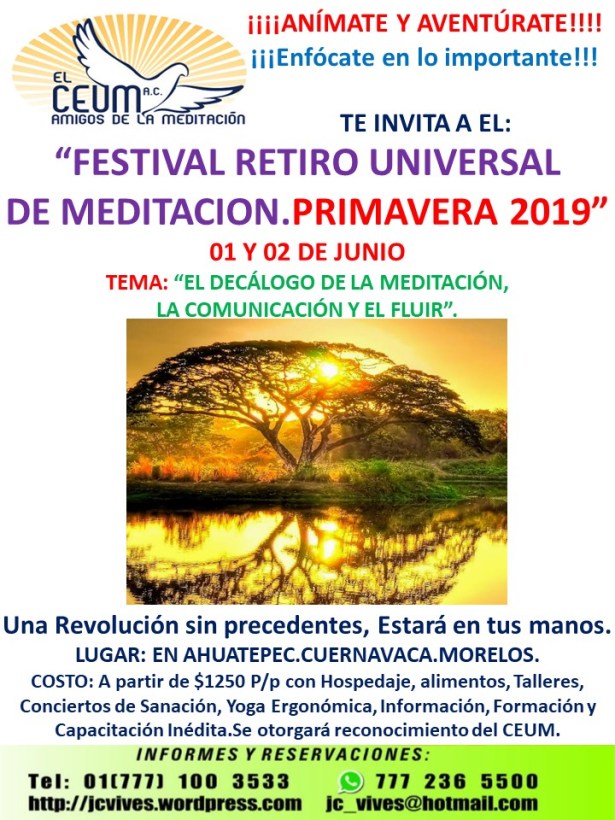 POSTER FESTIVAL PRIMAVARA 2019.