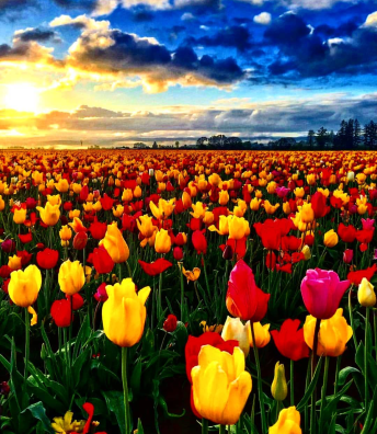 screenshot_20190620-122734